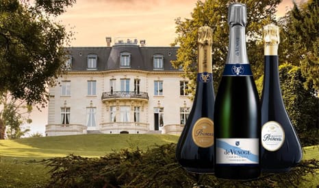 VINS CHAMPAGNE DE VENOGE pas cher chez 1JOUR1VIN
