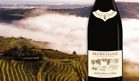 VINS MARCILLAC, PEPITE DU SUD-OUEST en vente flash chez 1JOUR1VIN