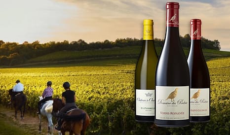 VINS DOMAINES DEVILLARD à bas prix chez 1JOUR1VIN
