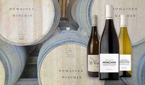 VINS BIO MENETOU-SALON ET VALENCAY pas cher chez 1JOUR1VIN