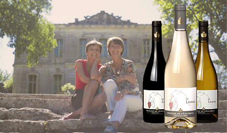 VINS LANGUEDOC - GRES DE MONTPELLIER à bas prix sur 1JOUR1VIN