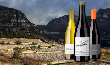 VINS BIO PAS DE L'ESCALETTE  TERROIR D'ALTITUDE à super prix sur 1JOUR1VIN
