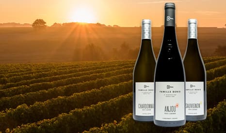 VINS DOMAINE DU PETIT CLOCHER - FAMILLE DENIS à bas prix chez 1JOUR1VIN