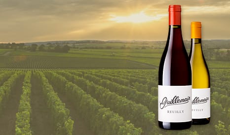 VINS REUILLY à super prix sur 1JOUR1VIN