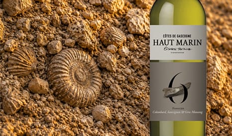 Haut Marin • Pépite Côtes de Gascogne