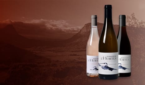 VINS L'HORTUS  PIC SAINT-LOUP à prix discount sur 1JOUR1VIN