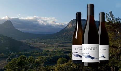 VINS L'HORTUS  PIC SAINT-LOUP en soldes chez 1JOUR1VIN