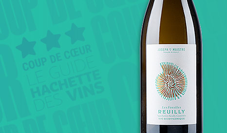 VINS BIO REUILLY BIODYNAMIQUE 3* COUP DE COEUR HAC à super prix chez 1JOUR1VIN
