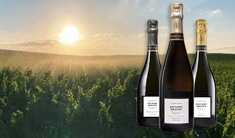 VINS BIO CHAMPAGNE LECLERC BRIANT en vente privée chez 1JOUR1VIN