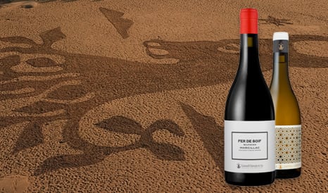 VINS LIONEL OSMIN  SUD-OUEST à bas prix sur 1JOUR1VIN