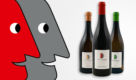 VINS BIO FREDERIC MABILEAU  SAINT NICOLAS DE BOURG en vente privilège sur 1JOUR1VIN