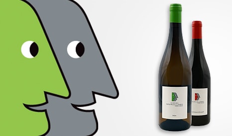 VINS BIO FREDERIC MABILEAU  SAINT NICOLAS DE BOURG en vente privée chez 1JOUR1VIN
