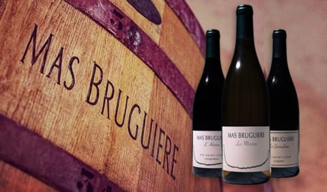 VINS BIO MAS BRUGUIERE  PIC SAINT-LOUP en vente flash sur 1JOUR1VIN