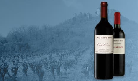 VINS BIO MAS HAUT BUIS à prix discount sur 1JOUR1VIN