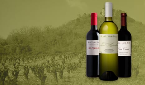 VINS BIO MAS HAUT BUIS  LARZAC en promo sur 1JOUR1VIN