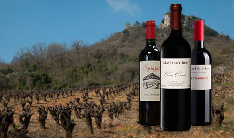 VINS BIO MAS HAUT BUIS  LARZAC à bas prix sur 1JOUR1VIN
