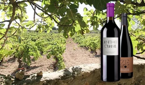 VINS BIO MAS DES CAPRICES  FITOU en vente flash chez 1JOUR1VIN