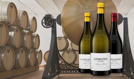VINS BIO ALPHONSE MELLOT  SANCERRE à prix discount chez 1JOUR1VIN