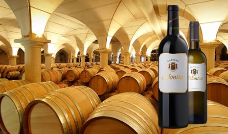 Château Montus • Madiran & Pacherenc