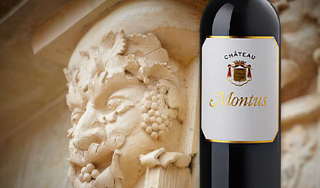 VINS CHATEAU MONTUS 