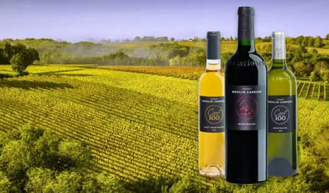 VINS MOULIN CARESSE  MONTRAVEL à super prix sur 1JOUR1VIN