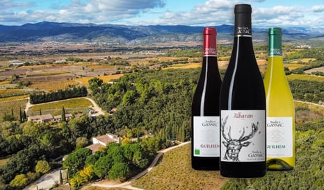 VINS BIO MOULIN DE GASSAC  PAYS D'HERAULT en vente flash sur 1JOUR1VIN