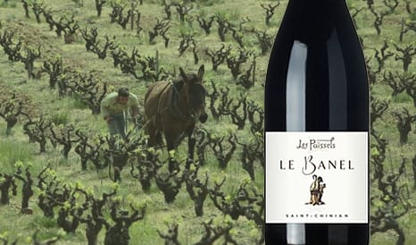 VINS LES PAISSELS  SAINT CHINIAN pas cher sur 1JOUR1VIN