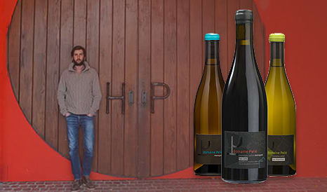 VINS BIO DOMAINE PELLE - MENETOU-SALON à bas prix chez 1JOUR1VIN