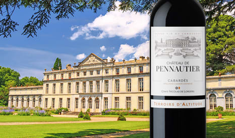 VINS BIO CHATEAU DE PENNAUTIER  94 COUP DE COEUR R à prix discount sur 1JOUR1VIN
