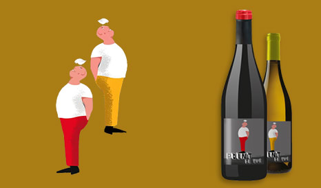 VINS BIO POINT DE VUE  JEFF CARREL à prix discount sur 1JOUR1VIN