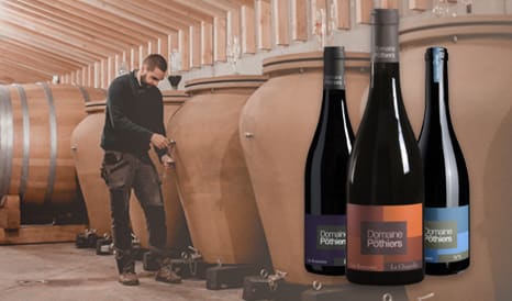 VINS BIO POTHIERS  COTE ROANNAISE en vente privilège chez 1JOUR1VIN