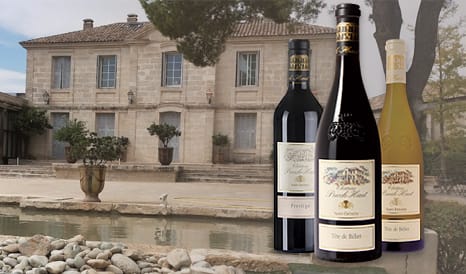 VINS CHATEAU PUECH-HAUT  LANGUEDOC à bas prix sur 1JOUR1VIN