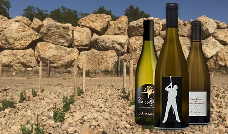 VINS MICHEL REDDE  POUILLY-FUME en soldes chez 1JOUR1VIN