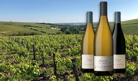 VINS PASCAL ET NICOLAS REVERDY  SANCERRE en soldes chez 1JOUR1VIN