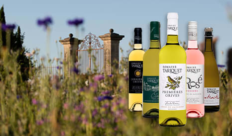 VINS DOMAINE TARIQUET en soldes chez 1JOUR1VIN