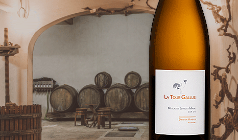 VINS BIO MUSCADET SEVRE ET MAINE SUR LIE BIO à super prix chez 1JOUR1VIN