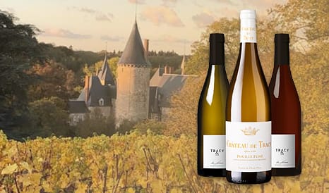 VINS BIO CHATEAU DE TRACY à prix discount chez 1JOUR1VIN