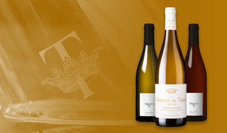 VINS BIO CHATEAU DE TRACY à super prix chez 1JOUR1VIN