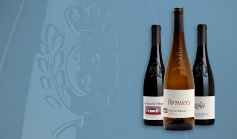 VINS BIO SAUMUR CHAMPIGNY - SAUMUR BIO à prix discount chez 1JOUR1VIN