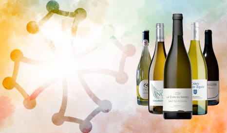 VINS BIO BLANCS DU LANGUEDOC en promo chez 1JOUR1VIN