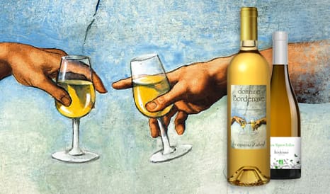 VINS BIO BORDENAVE  JURANCON SEC & MOELLEUX pas cher chez 1JOUR1VIN