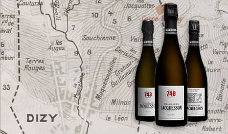 VINS CHAMPAGNE JACQUESSON en vente privée sur 1JOUR1VIN