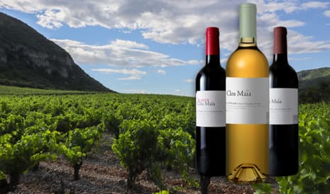 Clos Maïa • Vigneronne de talent