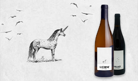 VINS BIO CLOS MAURICE  SAUMUR ET SAUMUR CHAMPIGNY en soldes chez 1JOUR1VIN