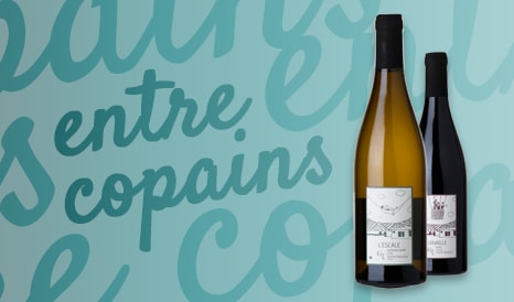 VINS BIO TOURAINE ET CHENONCEAUX à bas prix chez 1JOUR1VIN