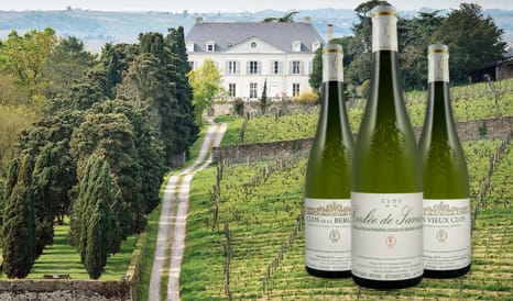 VINS BIO COULEE DE SERRANT en vente flash sur 1JOUR1VIN