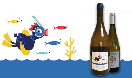 VINS BIO COTEAUX DU LAYON  SAVENNIERES BIO & BON en vente privée sur 1JOUR1VIN