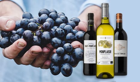 VINS BIO CHATEAU HAUT-MONPLAISIR  CAHORS à super prix sur 1JOUR1VIN