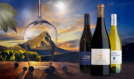 VINS BIO L'HERITAGE DU PIC SAINT LOUP pas cher chez 1JOUR1VIN