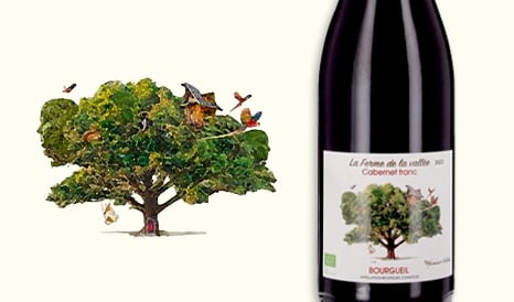 VINS BIO BOURGUEIL BIO 2* COUP DE COEUR HACHETTE en vente flash sur 1JOUR1VIN